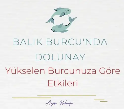 balık15 (1).webp