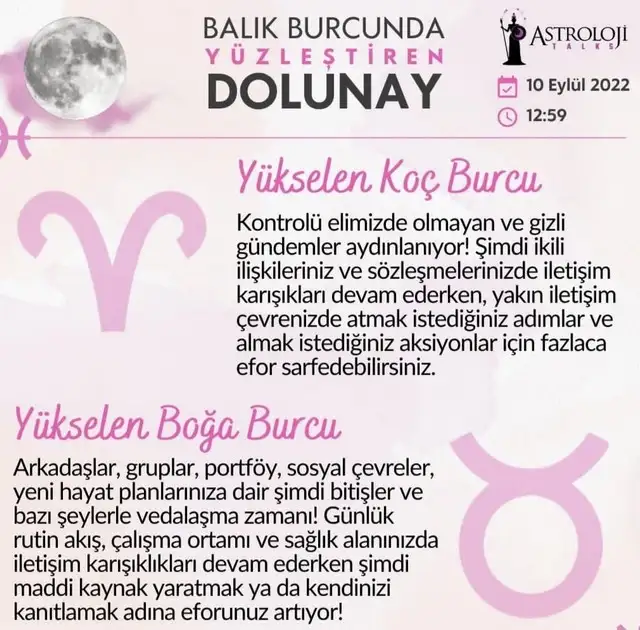balık15 (1).webp