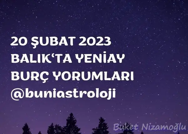 balık15 (1).webp