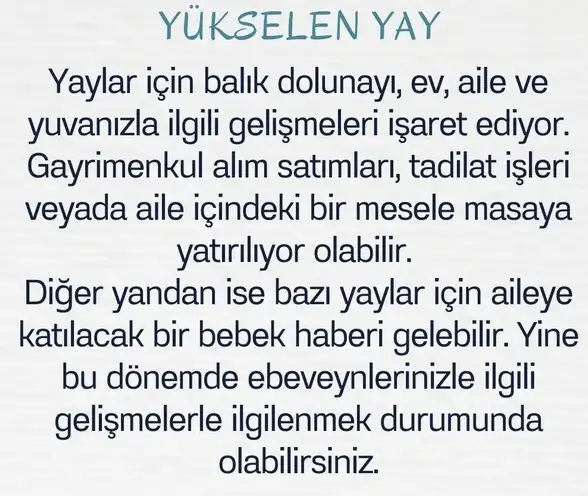 balık15 (11).webp