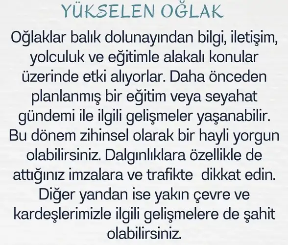 balık15 (12).webp