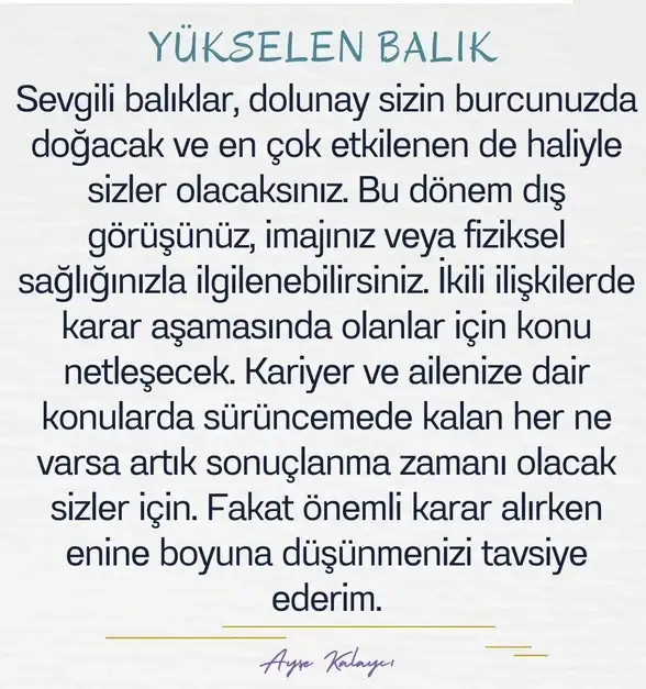 balık15 (14).webp