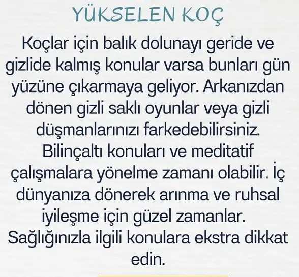 balık15 (2).webp