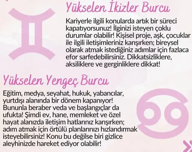 balık15 (2).webp