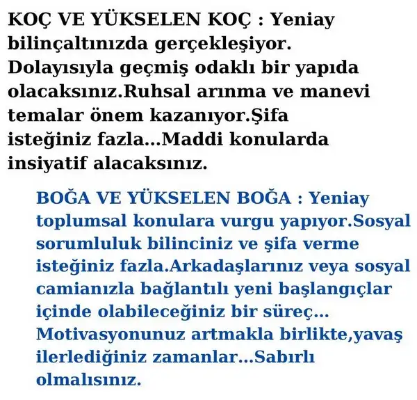 balık15 (2).webp