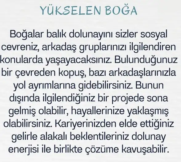 balık15 (3).webp