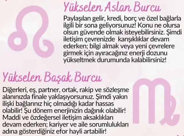 balık15 (3).webp