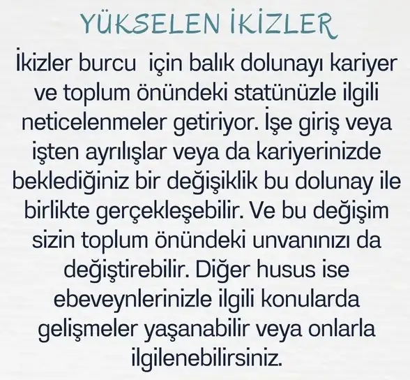 balık15 (4).webp