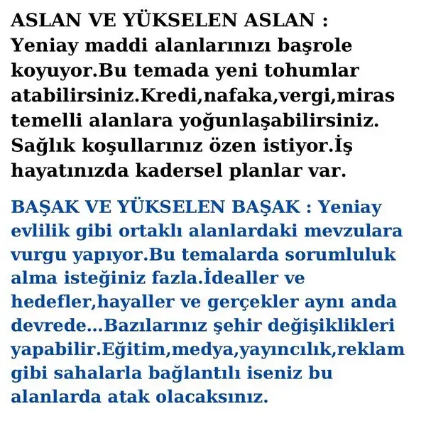 balık15 (4).webp
