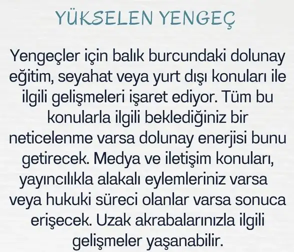 balık15 (5).webp