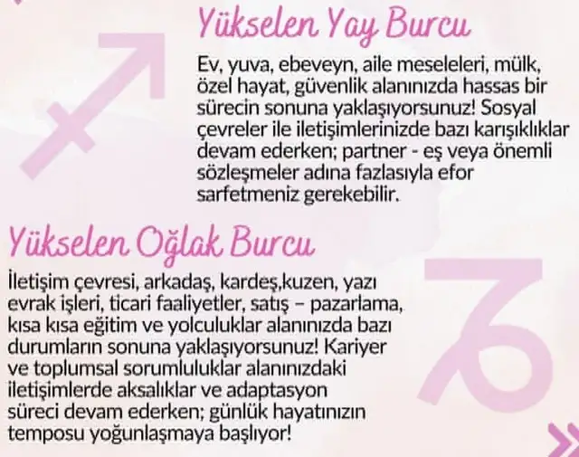 balık15 (5).webp