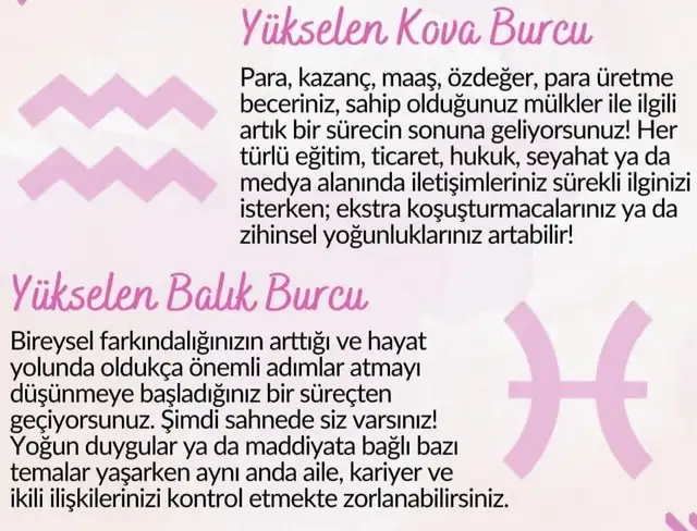 balık15 (6).webp