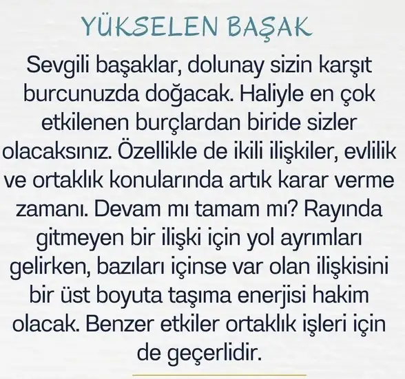 balık15 (7).webp