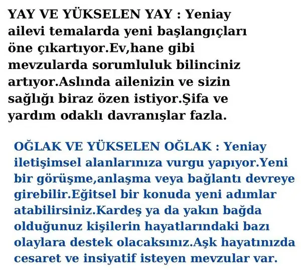 balık15 (7).webp
