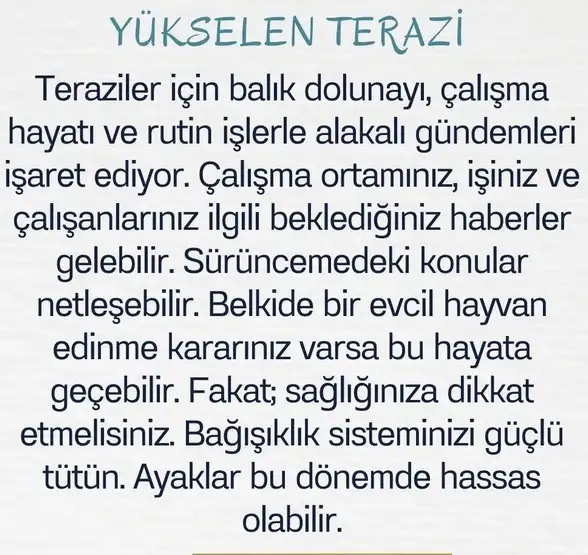 balık15 (8).webp