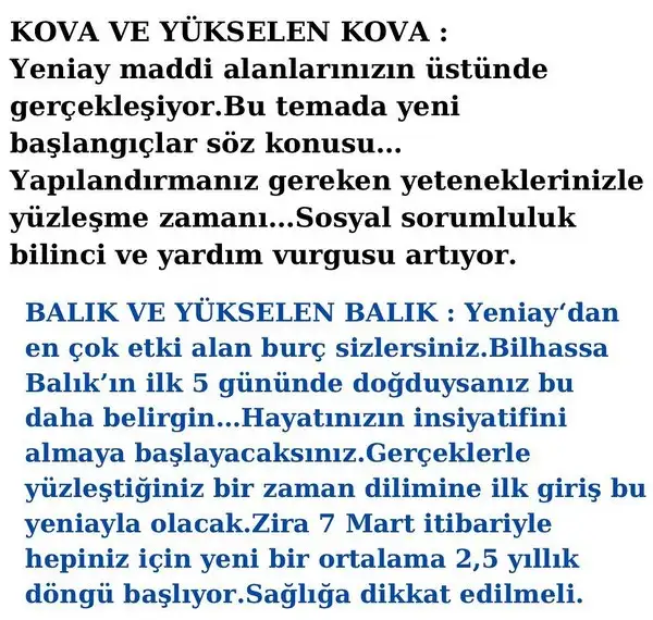 balık15 (8).webp