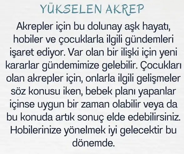 balık15 (9).webp