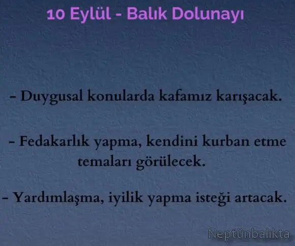 balık15.webp