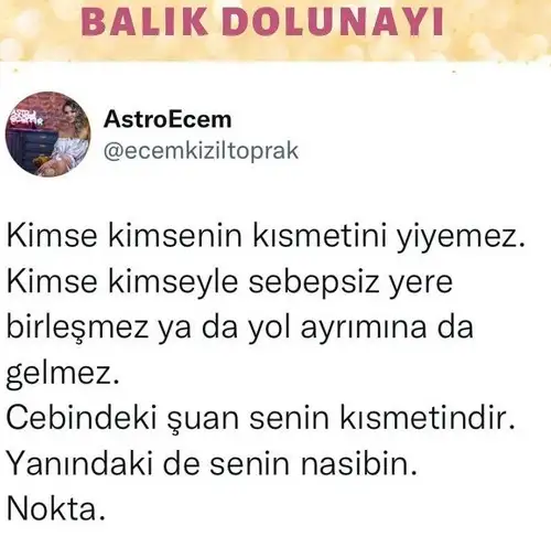 balık16 (1).webp