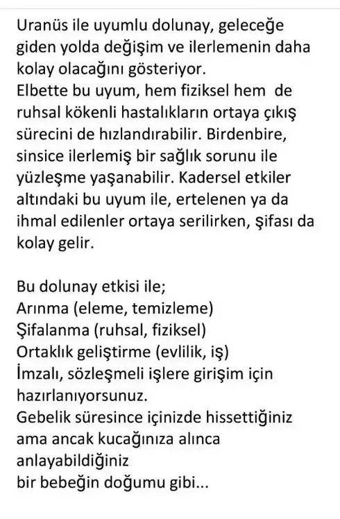 balık16 (1).webp