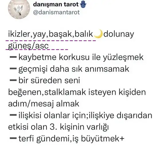 balık16 (1).webp