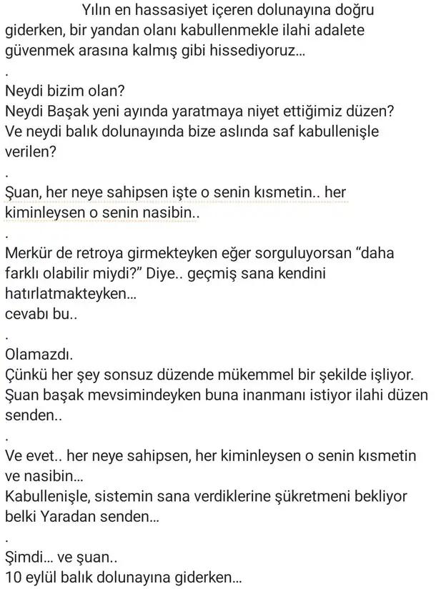balık16 (2).webp