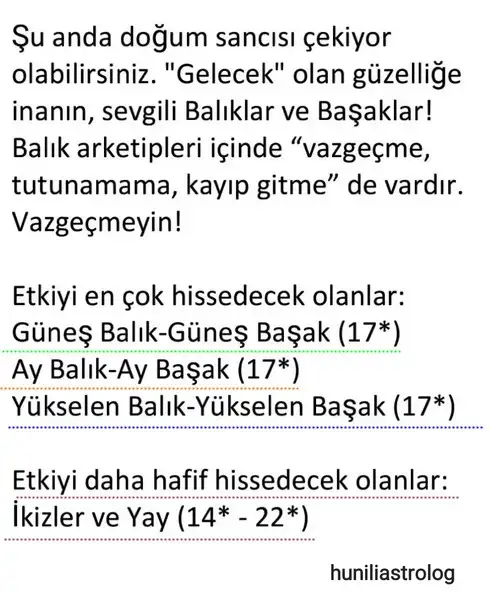 balık16 (2).webp
