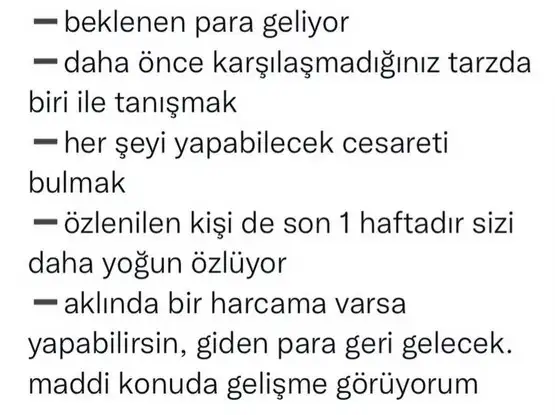 balık16 (2).webp
