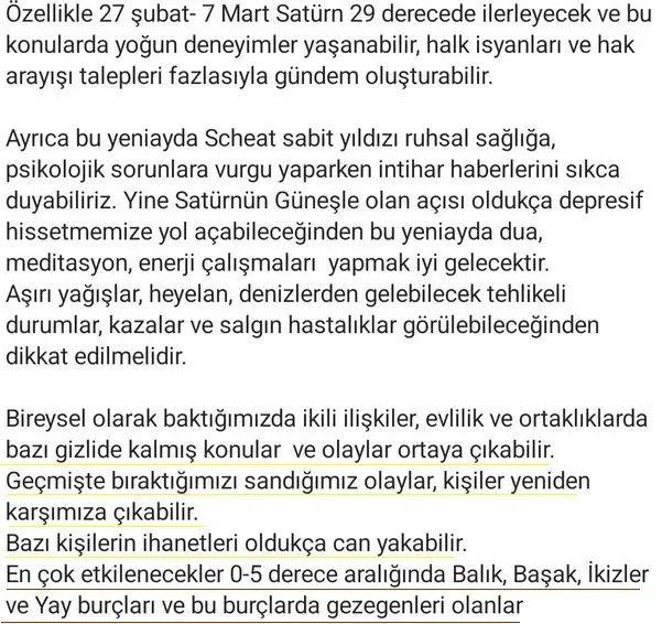 balık16 (2).webp
