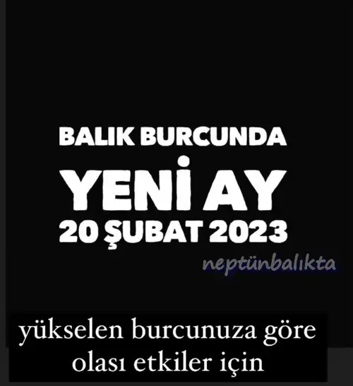 balık17 (1).webp