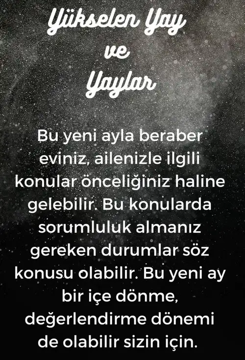 balık17 (10).webp