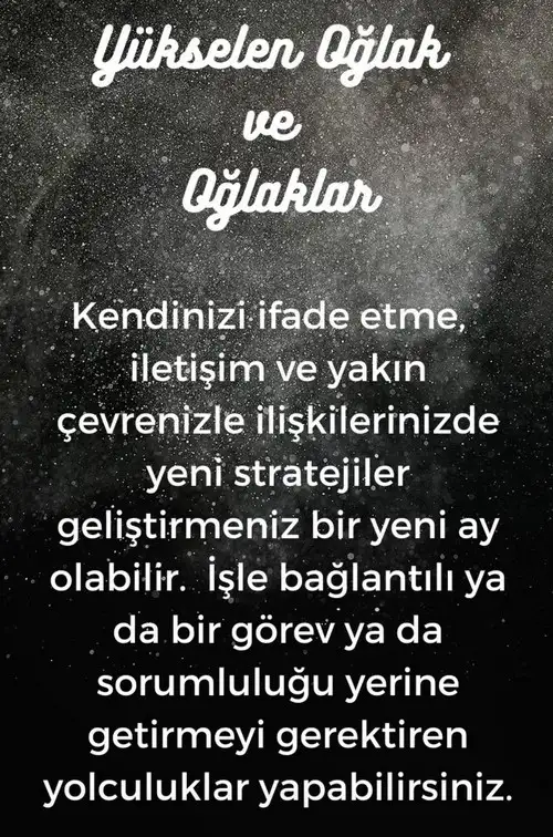 balık17 (11).webp