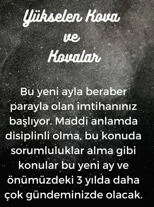 balık17 (12).webp