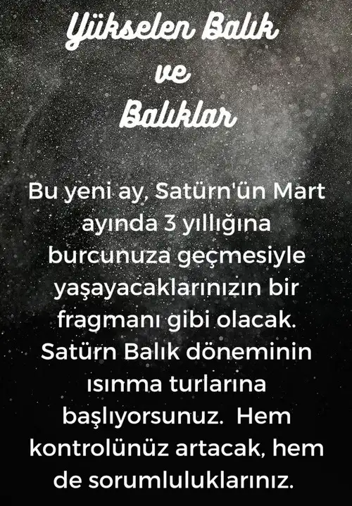 balık17 (13).webp