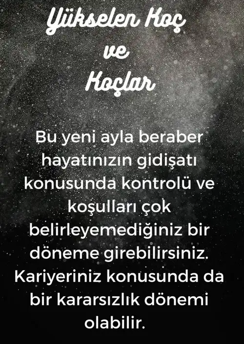 balık17 (2).webp
