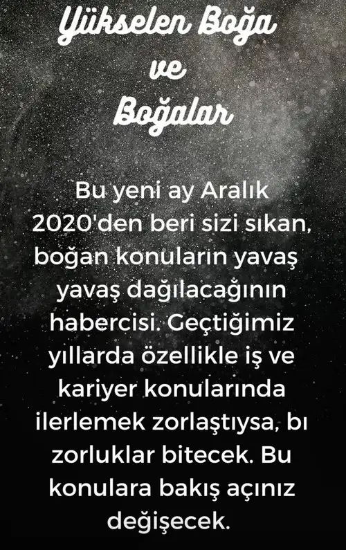 balık17 (3).webp