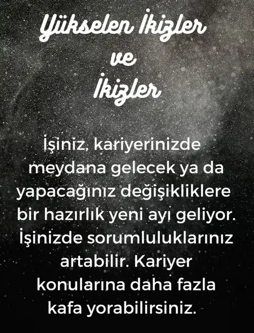 balık17 (4).webp