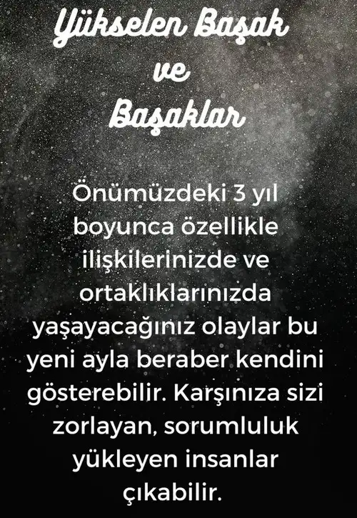 balık17 (7).webp