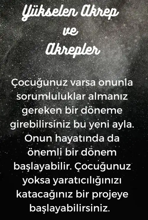 balık17 (9).webp