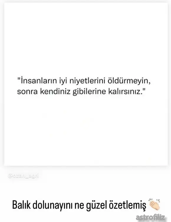 balık17.webp