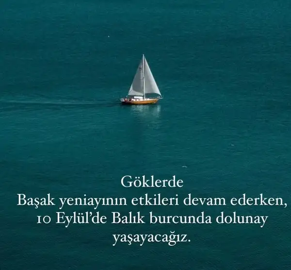 balık18 (1).webp