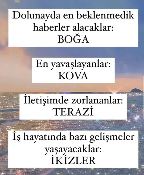 balık18 (1).webp