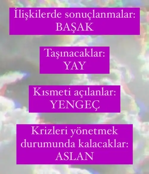 balık18 (2).webp
