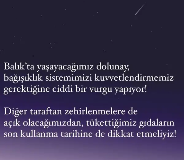 balık18 (3).webp