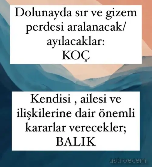 balık18 (3).webp