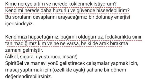 balık19 (2) - Kopya.webp