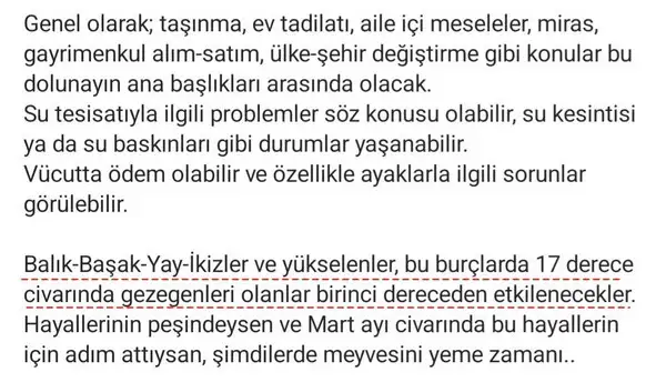 balık19 (2).webp