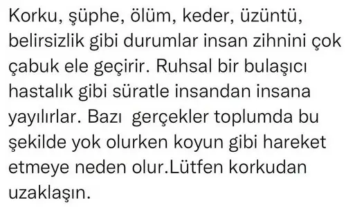 balık19 (2).webp