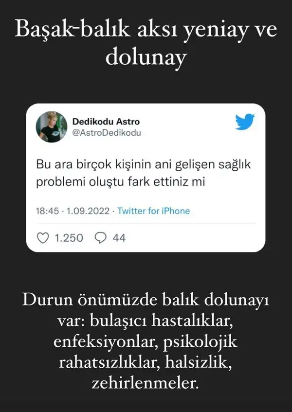 balık19.webp