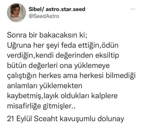 balık2 (1).webp